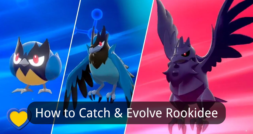 rookidee pokemon evolution