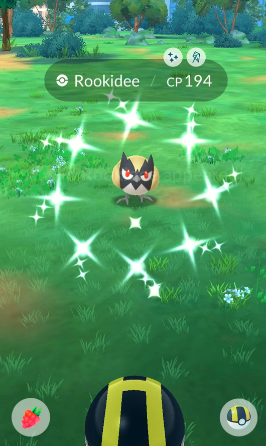 rookidee pokemon go