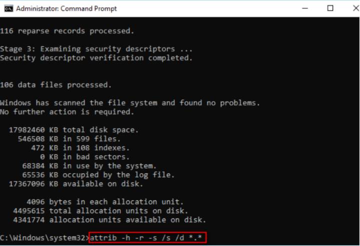 run attrib command