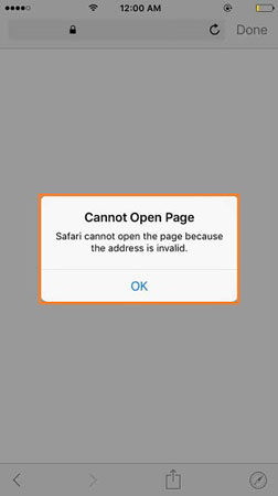 safari cannot connect to server use correct url