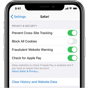 Reset Safari on iPhone and iPad 