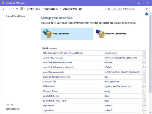 see all saved password on web credentials