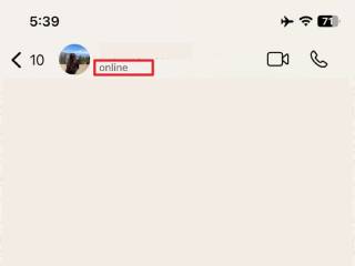 open chat and check online status