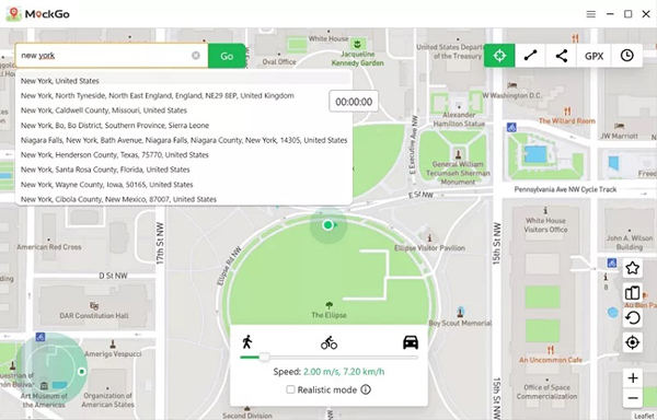 set the location with mockgo