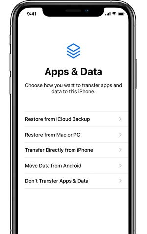 Restore from iCloud Backup