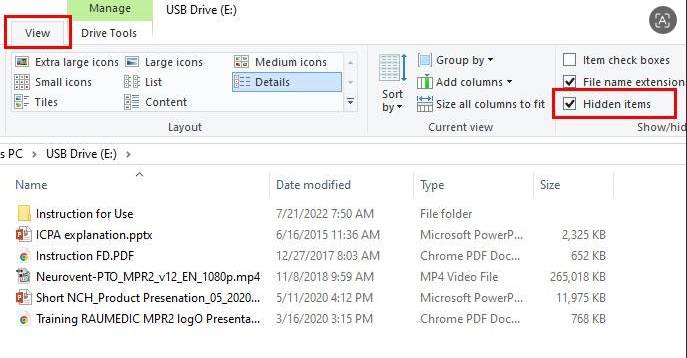 show hidden items in File Explorer