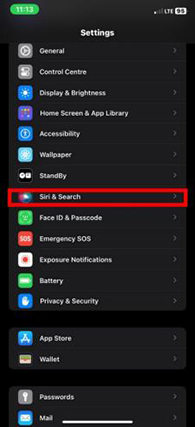 siri search