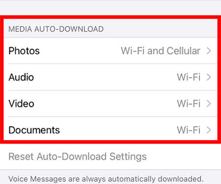 stop all download iphone