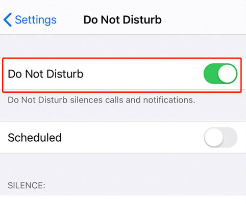 Switch of Do Not Disturb to Fix iPhone Can't Hear Calls