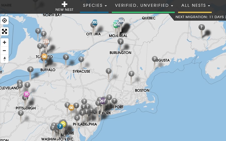 Top 4 Pokemon Go Nest Maps