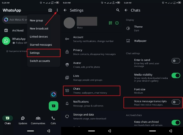 toggle voice message transcripts from chats