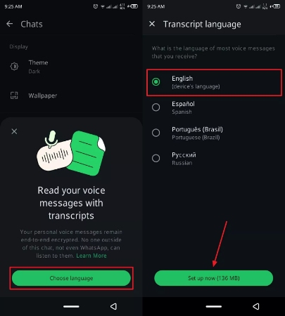 choose languages and set up now