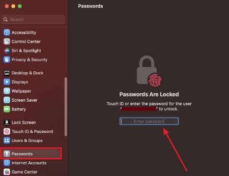 access passwords from mac settings