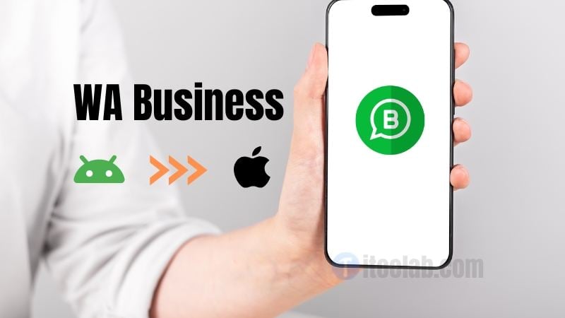 transfer whatsapp business from android to iphone