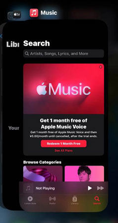 apple music not playing downloaded songs
