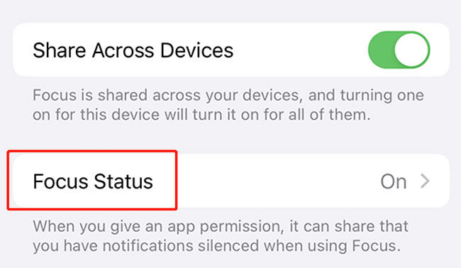 turn on focus mode ios17