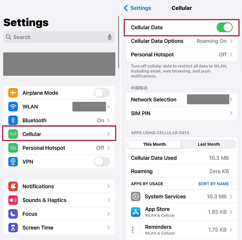 access the cellular data