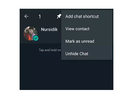 unhide chat gb whatsapp