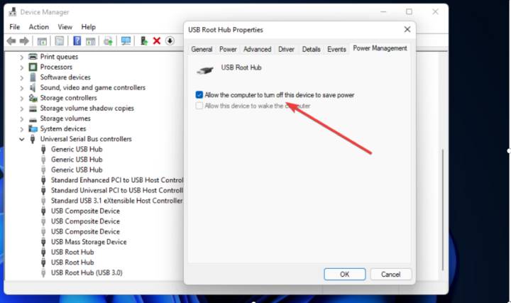 Adjust USB Root Hub settings