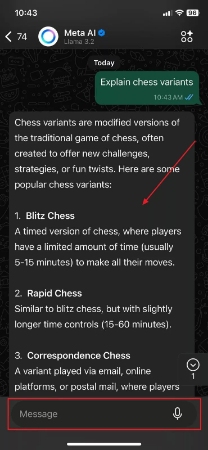 ask questions from meta ai