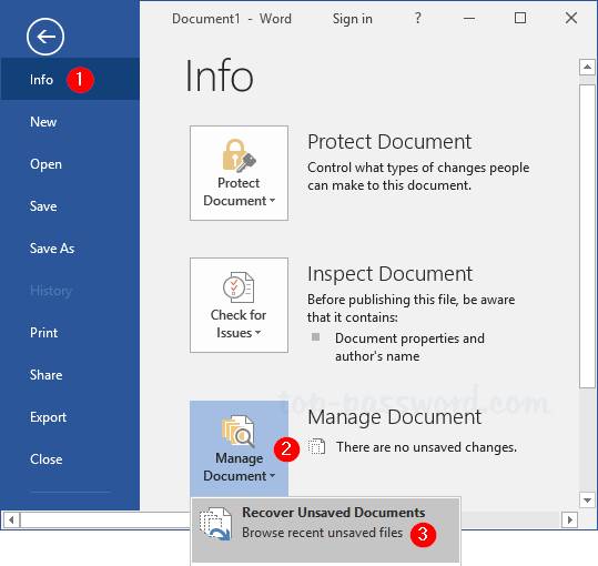 Word Manage Document