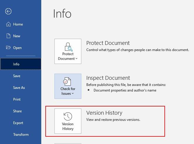 Word Version History panel with previous versions