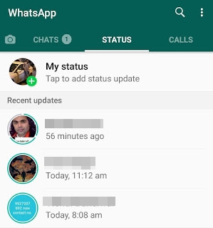 view whatsapp status