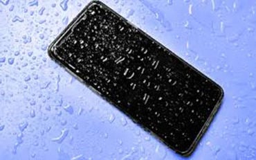 vivo water damage