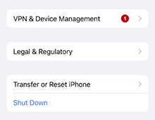 vpn and device management