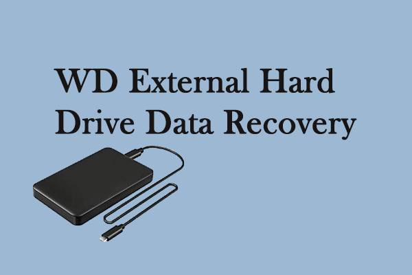 wd external hard drive review