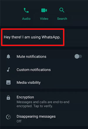 [Answered] Can A Deleted Contact See My Status on WhatsApp