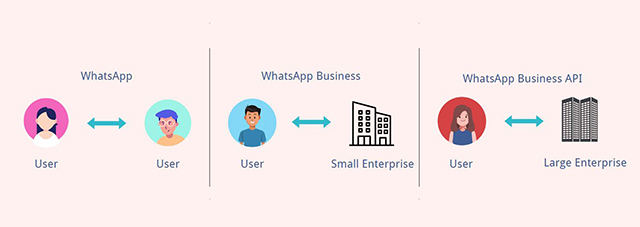 whatsapp vs whatsapp business
