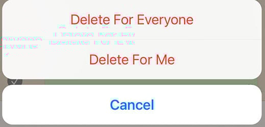 whatsapp deleting feature