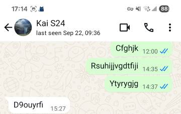 Whatsapp Last Seen Status