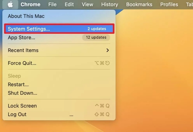 locate system settings option