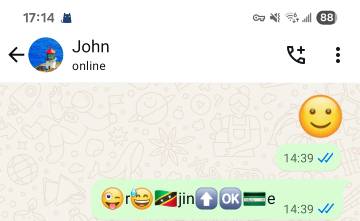 Whatsapp Online Status