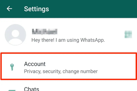 WhatsApp Privacy Settings