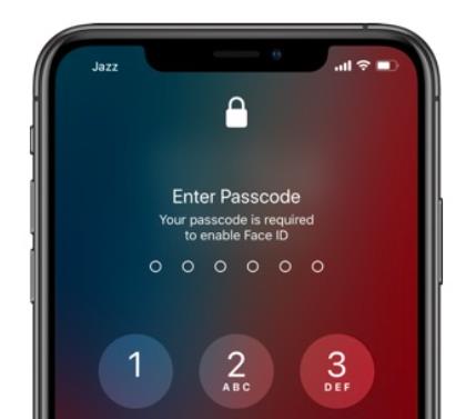your passcode is required to enable face id